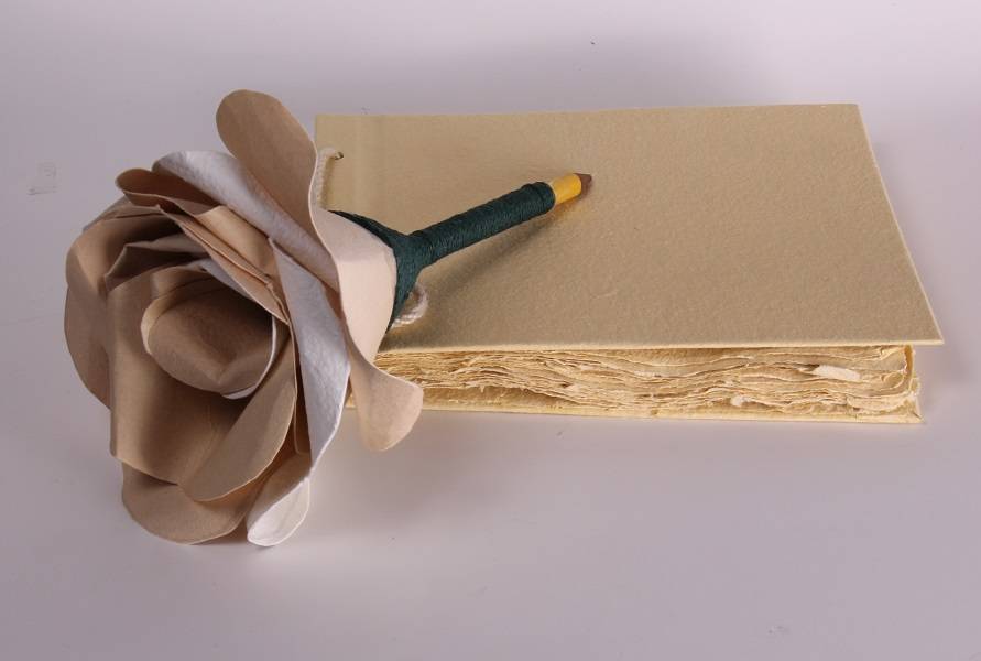 What is Hemp Paper Uses, Benefits and History Hemptique